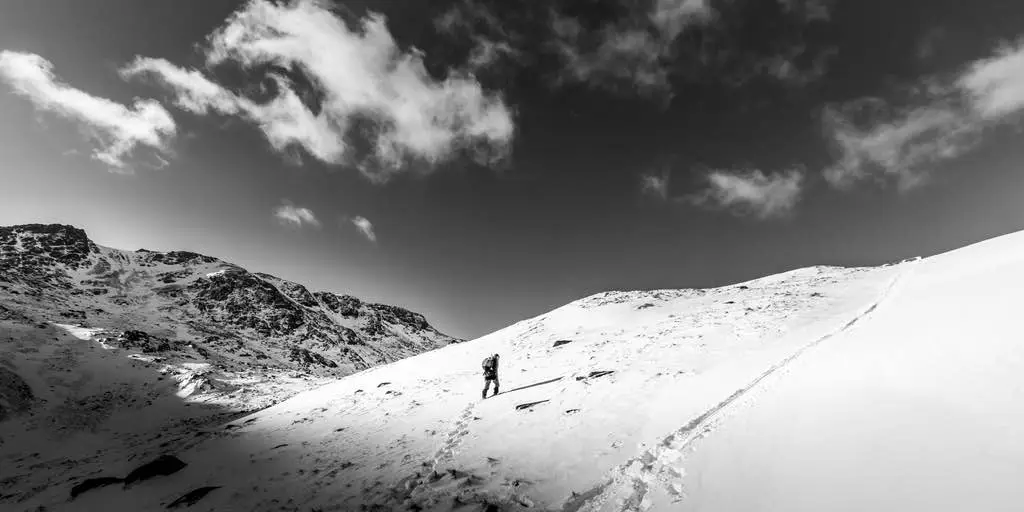 Mammutmarsch Beitragsbild Einsamer Wanderer
