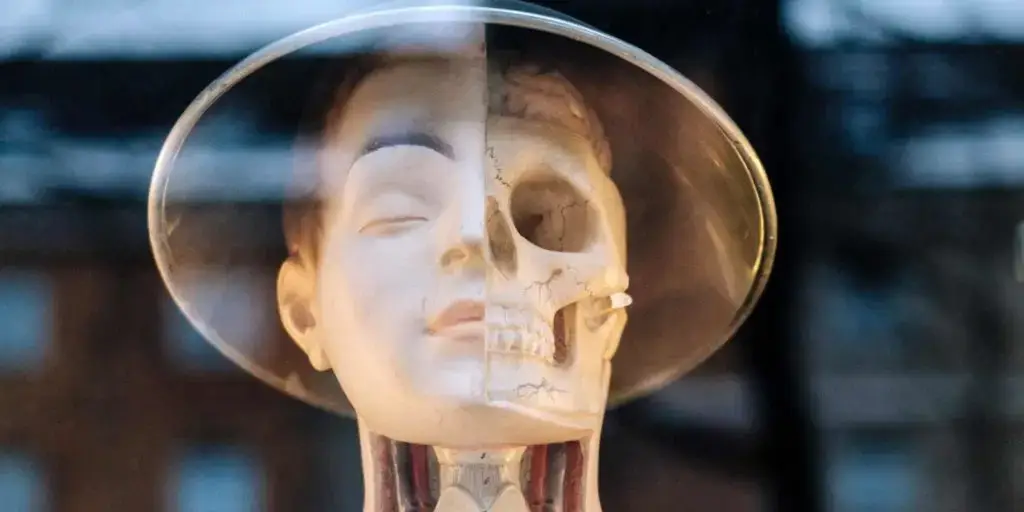 Meditation und Wissenschaft Titelbild